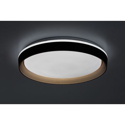 Rabalux - LED Stmievateľné stropné svietidlo LED/48W/230V 3000-6500K + diaľkové ovládanie