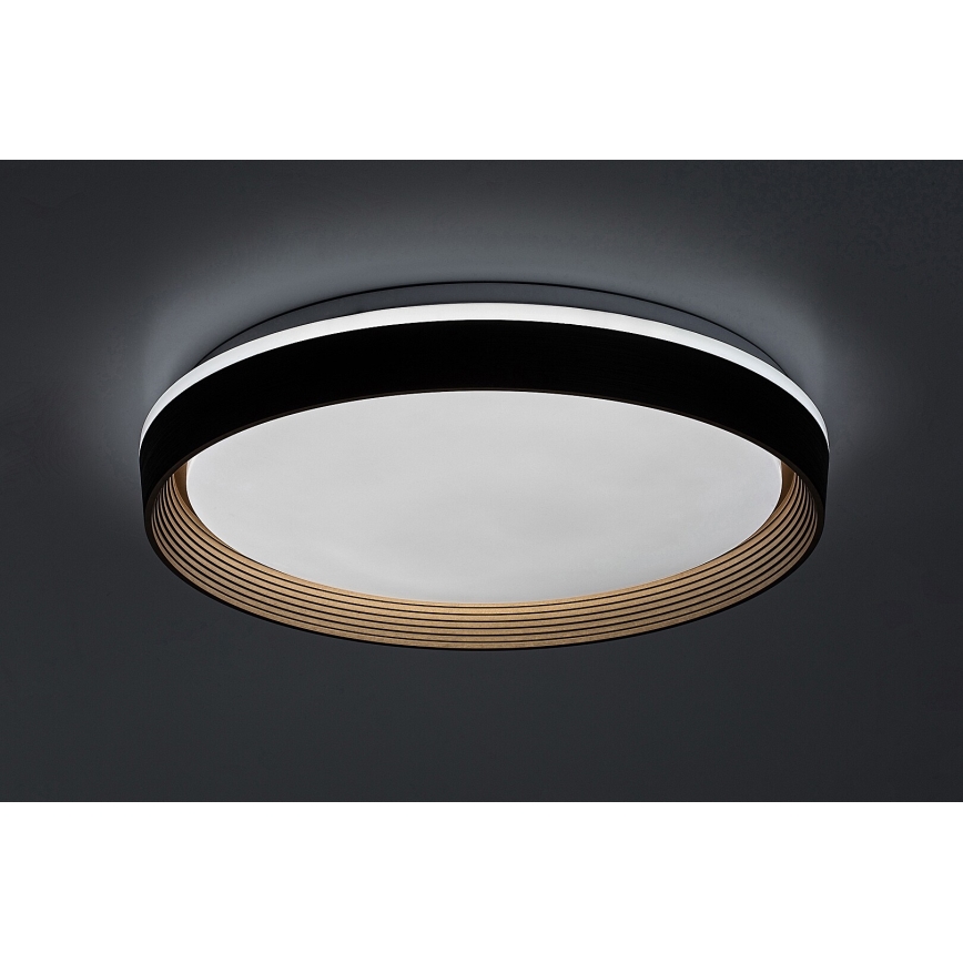 Rabalux - LED Stmievateľné stropné svietidlo LED/48W/230V 3000-6500K + diaľkové ovládanie