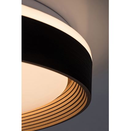 Rabalux - LED Stmievateľné stropné svietidlo LED/48W/230V 3000-6500K + diaľkové ovládanie