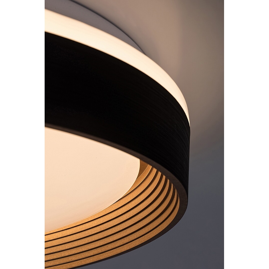 Rabalux - LED Stmievateľné stropné svietidlo LED/48W/230V 3000-6500K + diaľkové ovládanie