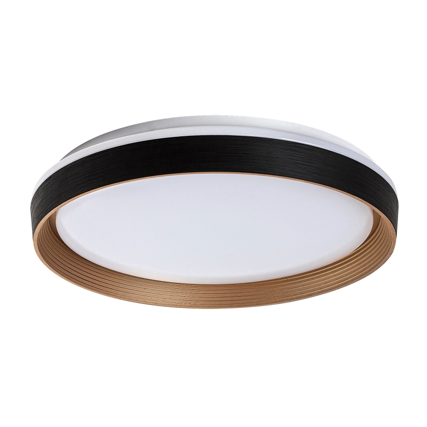 Rabalux - LED Stmievateľné stropné svietidlo LED/48W/230V 3000-6500K + diaľkové ovládanie