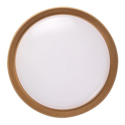 Rabalux - LED Stmievateľné stropné svietidlo LED/48W/230V 3000-6500K + diaľkové ovládanie