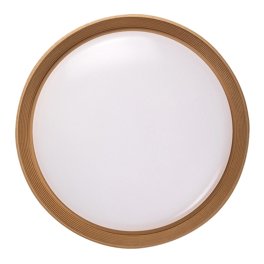 Rabalux - LED Stmievateľné stropné svietidlo LED/48W/230V 3000-6500K + diaľkové ovládanie