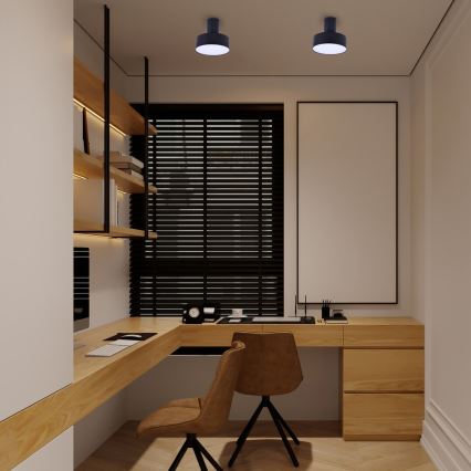 Dve stropné svietidlá svietia v pracovni. Pracovný stôl z dreva s dvoma hnedými stoličkami je umiestnený pri okne so žalúziami a policami. Na stene visí veľký prázdny obraz.