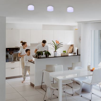 Rabalux - LED Stropné svietidlo LED/24W/230V 3000K biela