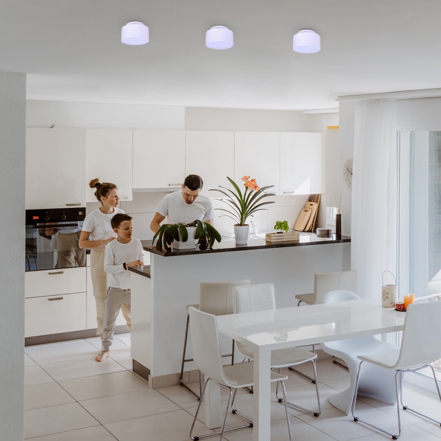 Rabalux - LED Stropné svietidlo LED/24W/230V 3000K biela