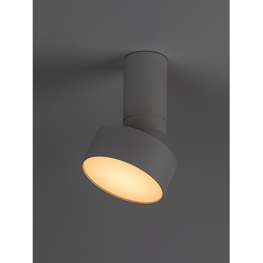 Rabalux - LED Stropné svietidlo LED/10W/230V 3000K biela