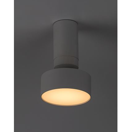 Rabalux - LED Stropné svietidlo LED/10W/230V 3000K biela