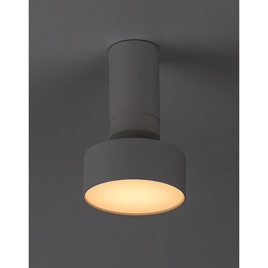 Rabalux - LED Stropné svietidlo LED/10W/230V 3000K biela