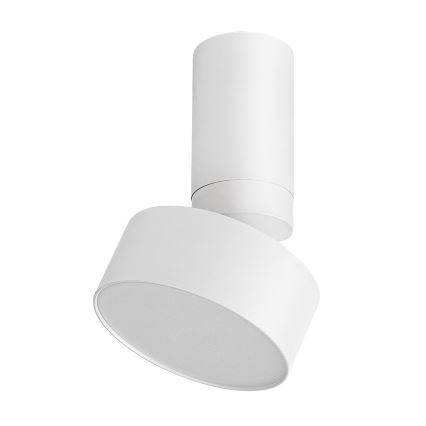 Rabalux - LED Stropné svietidlo LED/10W/230V 3000K biela