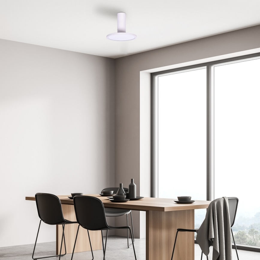 Rabalux - LED Stropné svietidlo LED/20W/230V 3000K biela