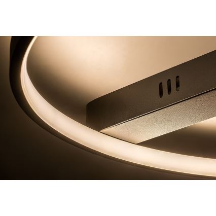 Rabalux - LED stropné svietidlo LED/45W/230V 3000K 50x55 cm čierne