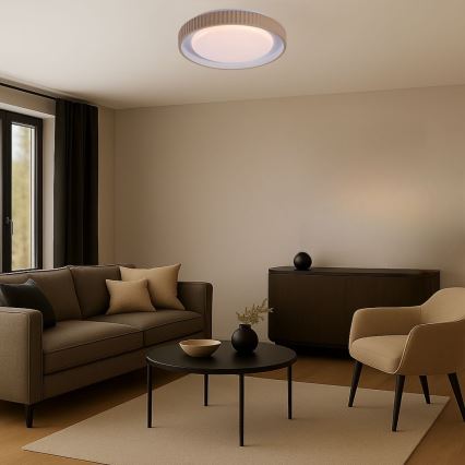 Rabalux - LED Stmievateľné stropné svietidlo LED/48W/230V 3000-6500K pr. 49,5 cm + diaľkové ovládanie