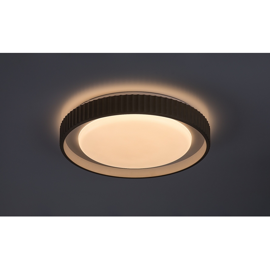 Rabalux - LED Stmievateľné stropné svietidlo LED/48W/230V 3000-6500K pr. 49,5 cm + diaľkové ovládanie