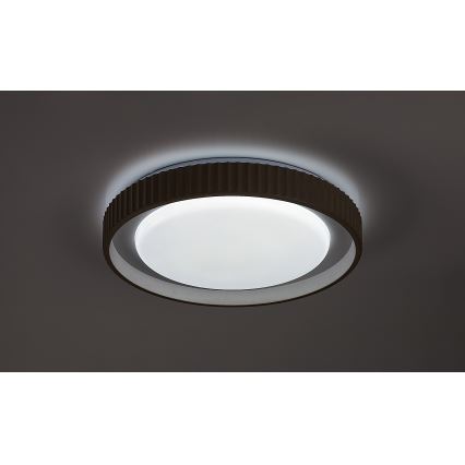 Rabalux - LED Stmievateľné stropné svietidlo LED/48W/230V 3000-6500K pr. 49,5 cm + diaľkové ovládanie