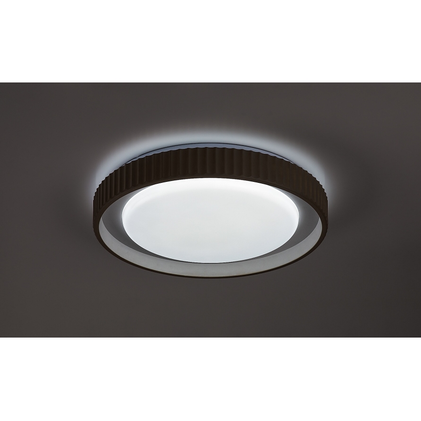 Rabalux - LED Stmievateľné stropné svietidlo LED/48W/230V 3000-6500K pr. 49,5 cm + diaľkové ovládanie