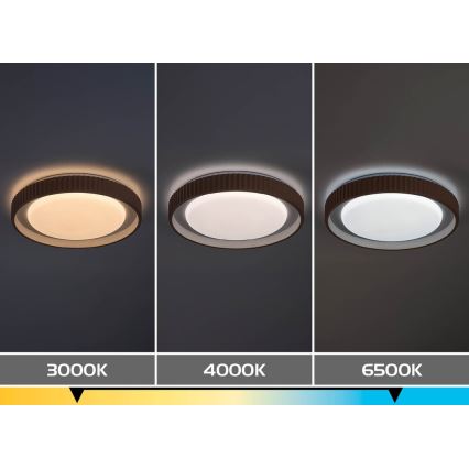 Rabalux - LED Stmievateľné stropné svietidlo LED/48W/230V 3000-6500K pr. 49,5 cm + diaľkové ovládanie