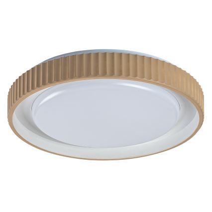 Rabalux - LED Stmievateľné stropné svietidlo LED/48W/230V 3000-6500K pr. 49,5 cm + diaľkové ovládanie