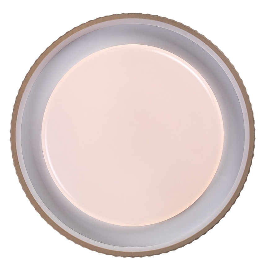 Rabalux - LED Stmievateľné stropné svietidlo LED/48W/230V 3000-6500K pr. 49,5 cm + diaľkové ovládanie