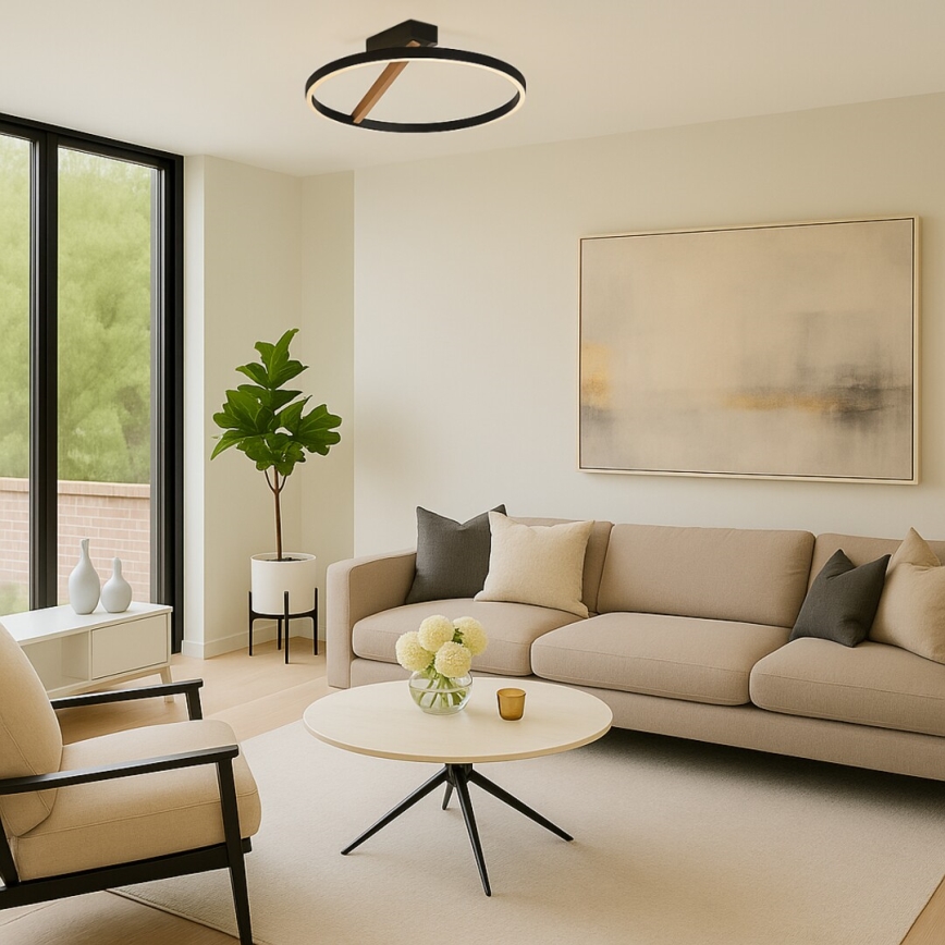 Rabalux - LED stropné svietidlo LED/24W/230V 3000K pr. 45 cm