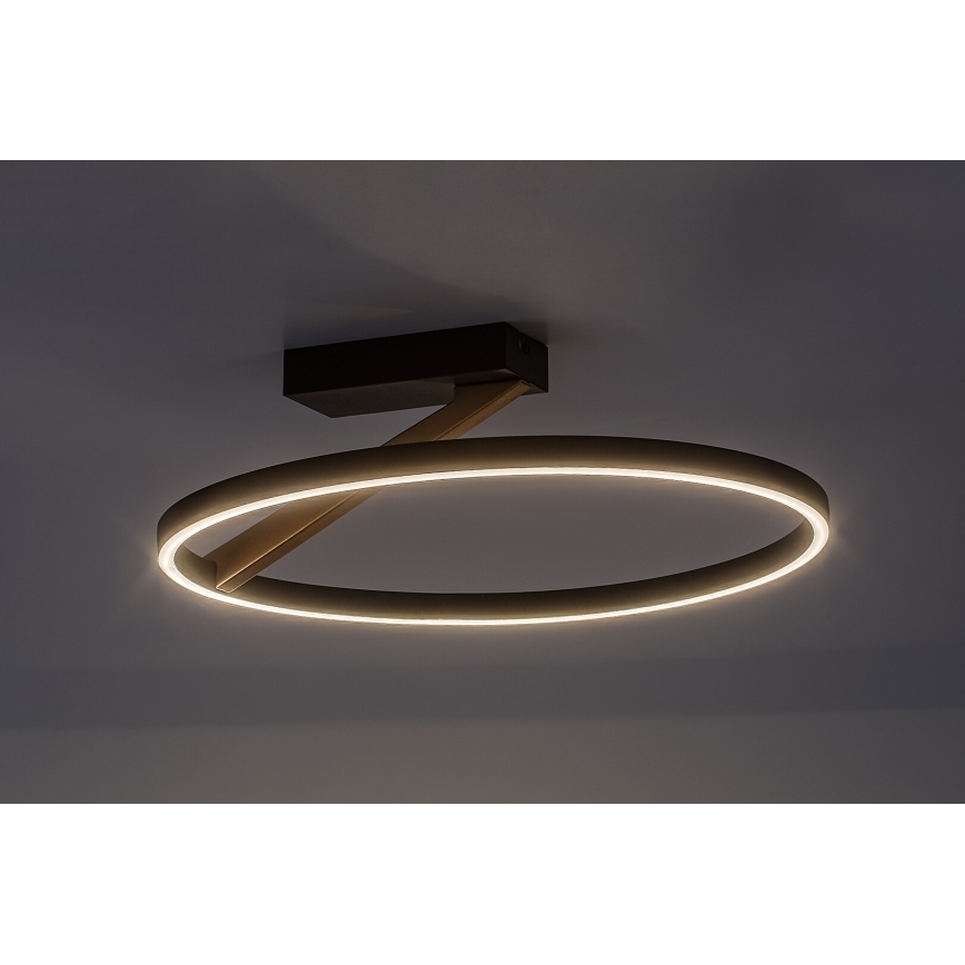 Rabalux - LED stropné svietidlo LED/24W/230V 3000K pr. 45 cm
