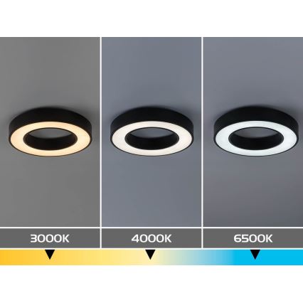 Rabalux - LED stropné svietidlo LED/24W/230V 3000/4000/6500K pr. 40 cm čierne