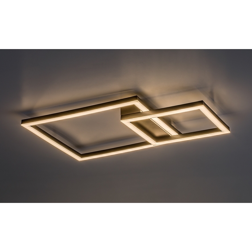 Rabalux - LED Stropné svietidlo LED/24W/230V 3000K