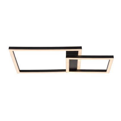 Rabalux - LED Stropné svietidlo LED/24W/230V 3000K