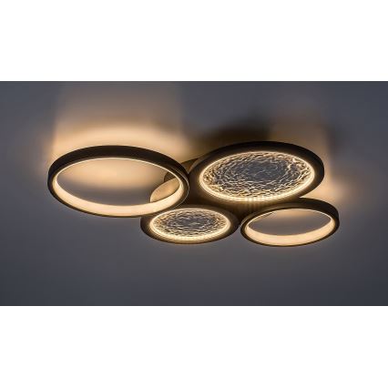 Rabalux - LED Stmievateľné stropné svietidlo LED/40W/230V 3000-6500K + diaľkové ovládanie