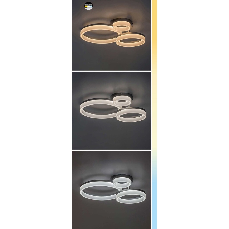 Svietidlo s tromi prepojenými kruhovými prvkami je pripevnené na strope. Svietidlo je zobrazené v troch farebných variáciách svetla: teplej bielej, neutrálnej bielej a studenej bielej.