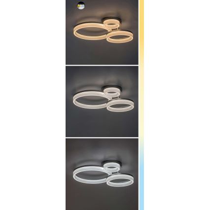 Svietidlo s tromi prepojenými kruhovými prvkami je pripevnené na strope. Svietidlo je zobrazené v troch farebných variáciách svetla: teplej bielej, neutrálnej bielej a studenej bielej.
