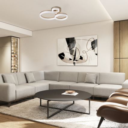 Rabalux - LED Stropné svietidlo LED/24W/230V 3000/4000/6500K zlatá