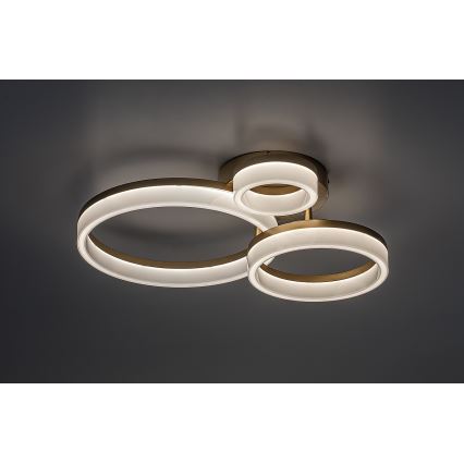 Rabalux - LED Stropné svietidlo LED/24W/230V 3000/4000/6500K zlatá