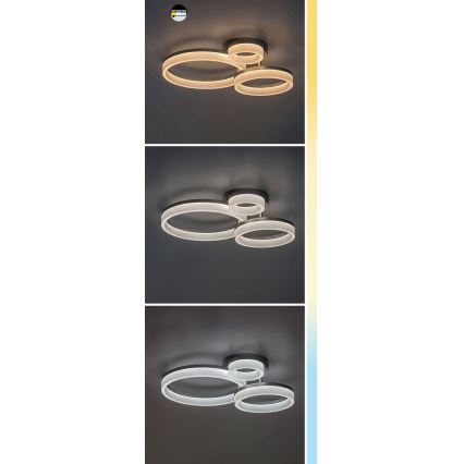 Rabalux - LED Stropné svietidlo LED/24W/230V 3000/4000/6500K čierna 38x51 cm