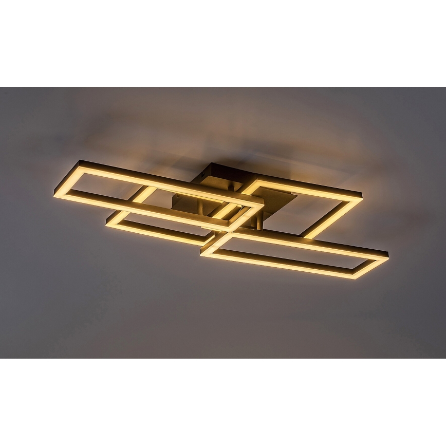 Rabalux - LED Stmievateľné stropné svietidlo LED/40W/230V 3000-6500K + diaľkové ovládanie