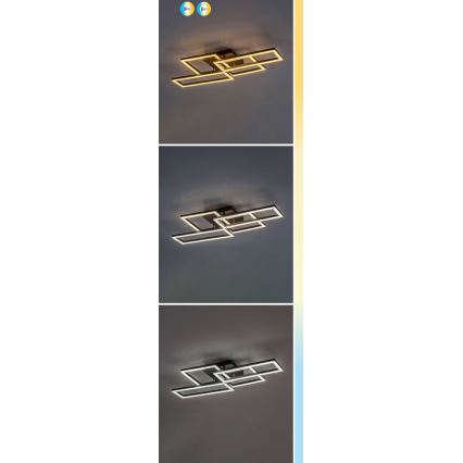 Rabalux - LED Stmievateľné stropné svietidlo LED/40W/230V 3000-6500K + diaľkové ovládanie