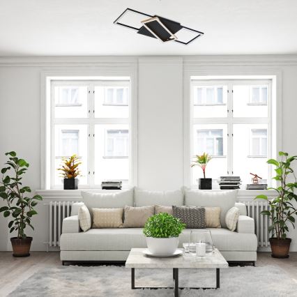 Rabalux - LED Stmievateľné stropné svietidlo LED/40W/230V 3000-6500K + diaľkové ovládanie