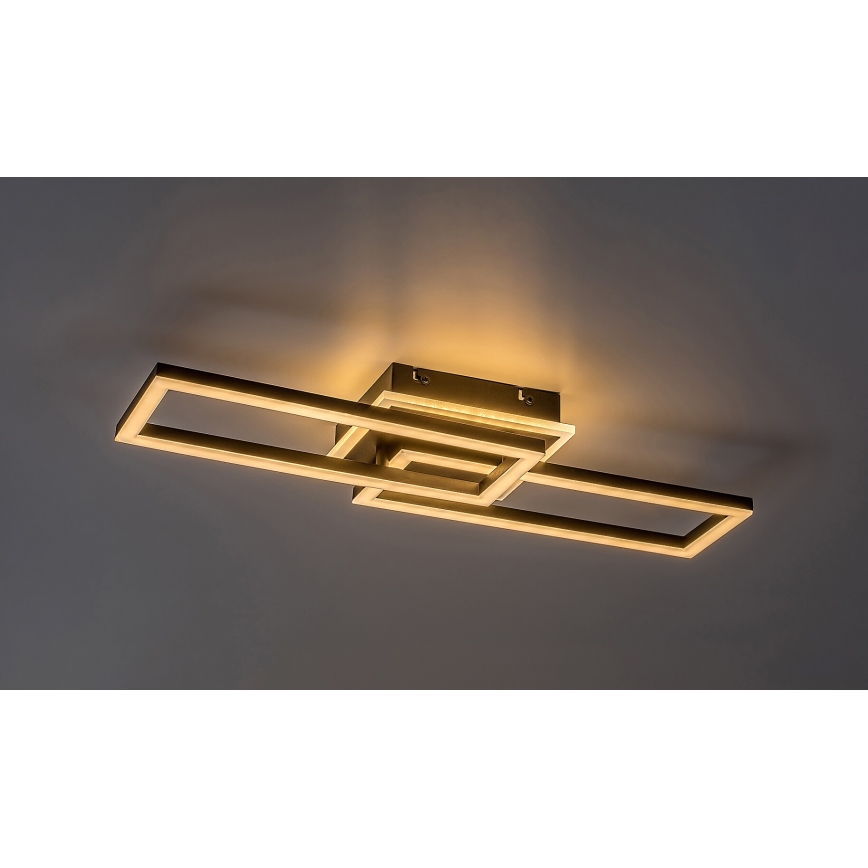 Rabalux - LED Stmievateľné stropné svietidlo LED/30W/230V 3000-6500K + diaľkové ovládanie
