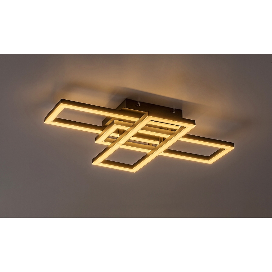 Rabalux - LED Stmievateľné stropné svietidlo LED/40W/230V 3000-6500K + diaľkové ovládanie