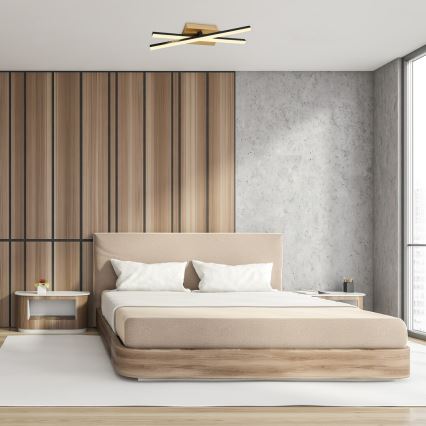 Rabalux - LED Stropné svietidlo LED/16W/230V 4000K