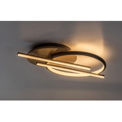 Rabalux - LED Stropné svietidlo LED/40W/230V 3000/4000/6500K