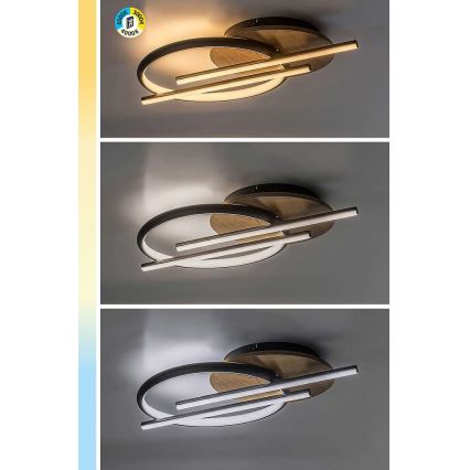 Rabalux - LED Stropné svietidlo LED/40W/230V 3000/4000/6500K