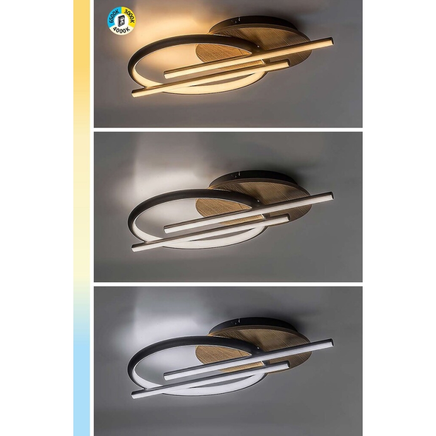 Rabalux - LED Stropné svietidlo LED/40W/230V 3000/4000/6500K