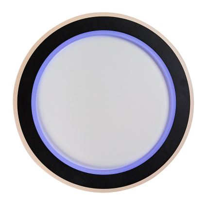 Rabalux - LED RGB Stmievateľné stropné svietidlo LED/22W/230V 3000-6500K + diaľkové ovládanie