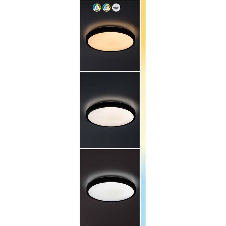 Rabalux - LED Stmievateľné kúpeľňové stropné svietidlo LED/24W/230V 3000-6000K IP44 pr. 35,5 cm biela + diaľkové ovládanie