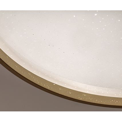 Rabalux - stlmiteľné LED stropné svietidlo LED/34W/230V 3000-6500K pr. 38 cm + diaľkové ovládanie