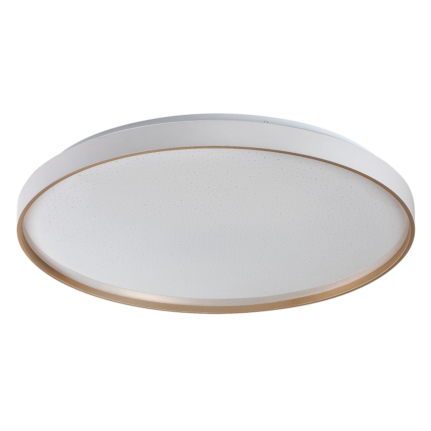 Rabalux - LED stmievateľné stropné svietidlo LED/60W/230V 3000-6500K priem. 58 cm + diaľkové ovládanie