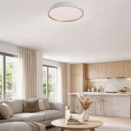 Rabalux - LED stmievateľné stropné svietidlo LED/80W/230V 3000-6500K pr. 77 cm + diaľkové ovládanie