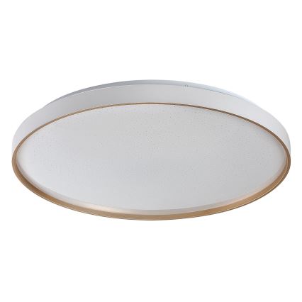 Rabalux - LED stmievateľné stropné svietidlo LED/80W/230V 3000-6500K pr. 77 cm + diaľkové ovládanie