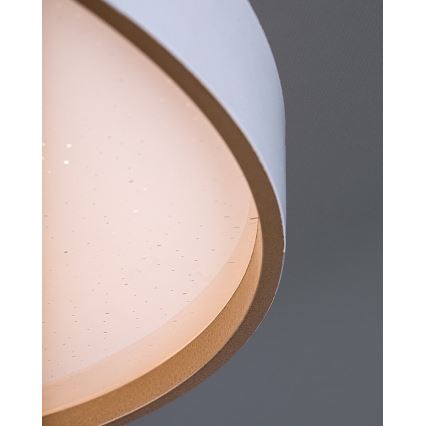 Rabalux - LED stmievateľné stropné svietidlo LED/80W/230V 3000-6500K pr. 77 cm + diaľkové ovládanie